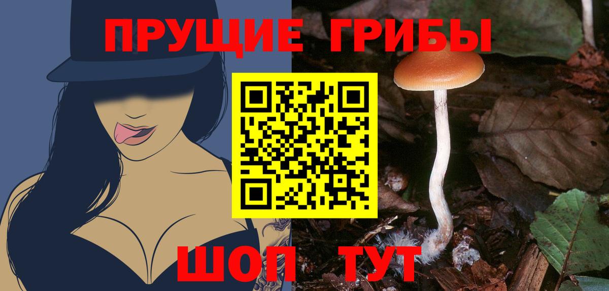 Псилоцибиновые грибы мицелий  Псилоцибиновые грибы прущие грибы  Азов  Вход с VPN 